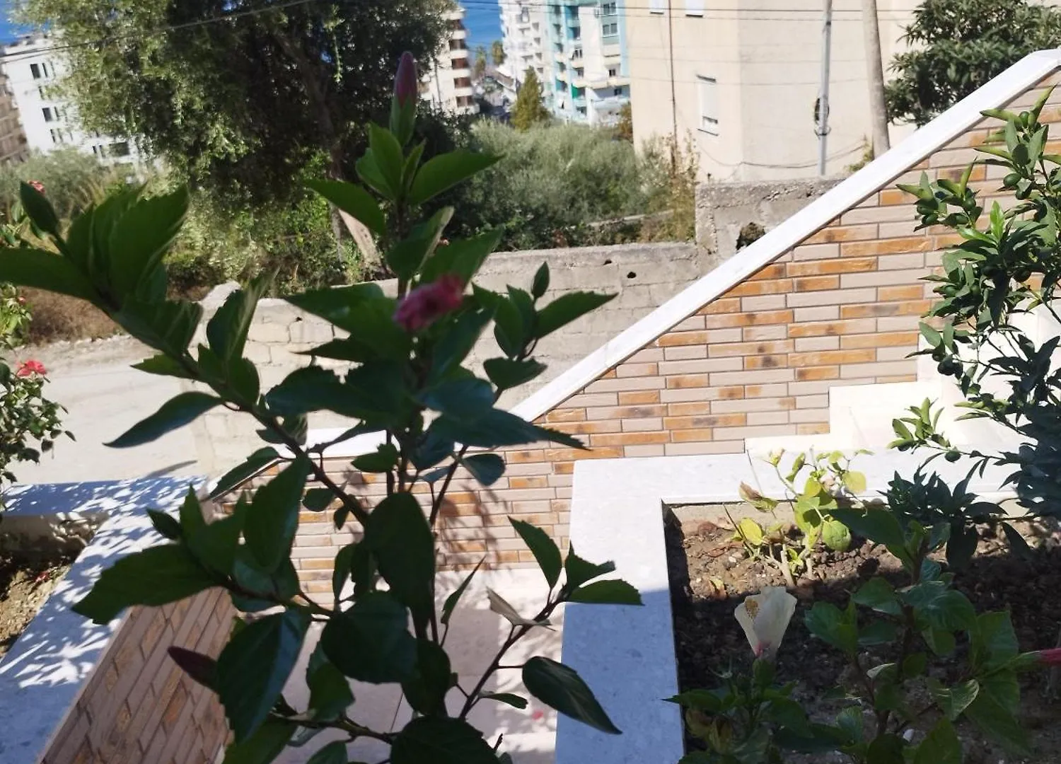 Villa Deon Vlorë